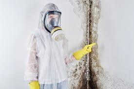 Why You Should Choose Our Mold Remediation Services in Pelican Bay, TX